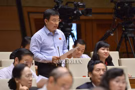 Nền giáo dục thiếu triết lý như thiếu ngọn hải đăng dẫn đường!