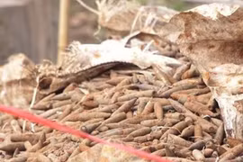 Hưng Yên: Hoàn tất di dời 6 tấn đầu đạn trong bãi phế liệu