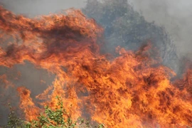 Xưởng nhựa phát hỏa dữ dội giữa khu dân cư