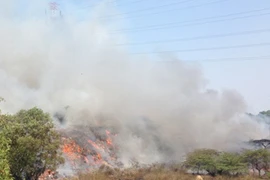 Lưới điện Quốc gia bị đe doạ bởi... bãi rác