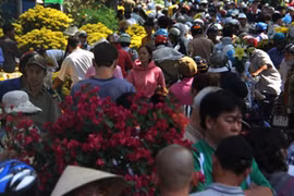 Hàng ngàn người đổ xô mua hoa hạ giá