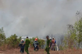 Cháy kinh hoàng rừng phòng hộ phía Tây TP HCM