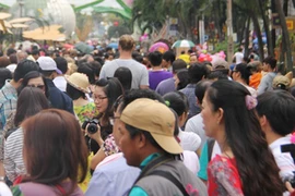 Đội nắng ngắm đường hoa, khu vui chơi kín người