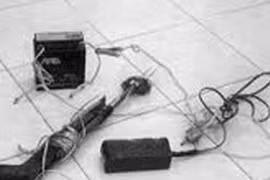 Vụ 3 thanh niên thiệt mạng khi đuổi trộm chó: bị bắn bằng súng điện