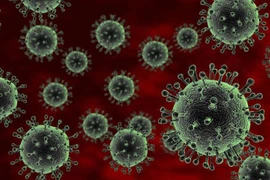 Cảnh giác với vi rút khiến “phổi nẫu như bùn”