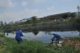 Kinh hoàng phát hiện xác người không đầu ở Sài Gòn