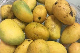 “Đặc sản Việt” gốc Tàu: Cú lừa thập kỷ, ta tự hại mình