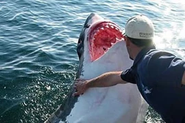 Rợn tóc gáy 10 bãi biển “chết chóc” nhất thế giới