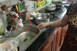 Hà Nội: Dân phát khiếp khi sống chung đường nước đầy giun sán