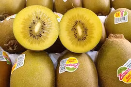 Kiwi vàng, xoài đỏ, nho ngón tay "nhảy" vào mâm cỗ cúng Tết Đoan Ngọ