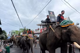 Đàn voi diễu hành tiễn biệt “vua voi” Tây Nguyên