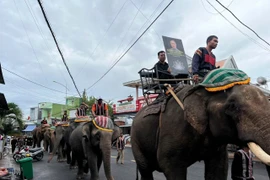 Đàn voi diễu hành tiễn biệt “vua voi” Tây Nguyên