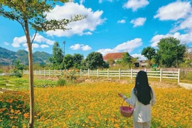 Rời phố lên Mộc Châu, 9X làm nhà vườn đẹp như trời Âu