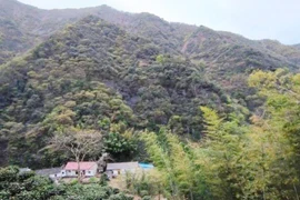 Bỏ phố về quê làm nông, nay nhẹ nhàng kiếm vài tỉ/năm