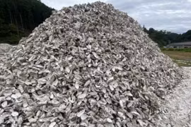 Độc lạ quần áo, mỹ phẩm được làm từ vỏ sò