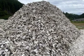 Độc lạ quần áo, mỹ phẩm được làm từ vỏ sò