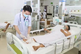 Đắk Lắk: Suýt mất mạng vì tin lời thầy lang chữa rắn cắn