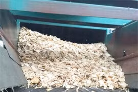 Biến đồ phế thải thành “mỏ vàng”, đút túi hàng trăm triệu/năm