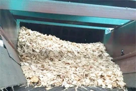 Biến đồ phế thải thành “mỏ vàng”, đút túi hàng trăm triệu/năm