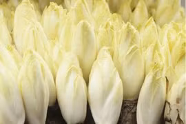 Loại hình trồng rau lạ, đến ngày thu hoạch là hốt bạc