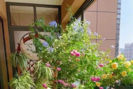 4 khu vườn ban công khép kín khiến bạn 'mê mẩn'