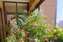 4 khu vườn ban công khép kín khiến bạn 'mê mẩn'