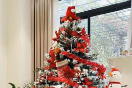 Cây thông đặc biệt bên trong ngôi nhà của MC Vân Hugo