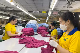 Người hưởng lương cao nhất TPHCM, hơn 10 tỷ đồng/năm