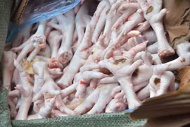 Quảng Ninh: Bắt hơn 3 tấn chân gà cấp đông không nguồn gốc