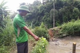 Thông tin mới rợn người về vụ thảm sát ở Lào Cai