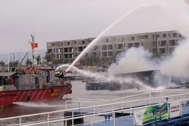 Cháy tàu du lịch ở Tuần Châu: Đình chỉ toàn bộ tàu VIT Hạ Long