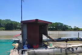 5 người bị điện giật chết tại Bắc Ninh: Lời kể của người sống sót