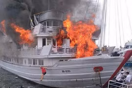 Tàu du lịch cháy ở cảng Tuần Châu, khách nhảy xuống biển