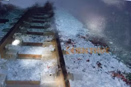 Tranh cãi việc xử phạt hành chính vụ thuê người chặt tay chân