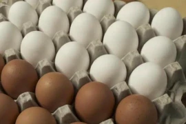 Giá trứng gà ở đây tăng gấp đôi vì dịch cúm bùng phát