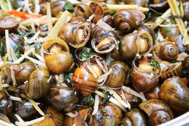 Cách phân biệt ốc nhồi ta, ốc bươu vàng nhanh và chuẩn nhất