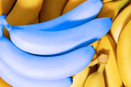 Chuối xanh lam, táo đen và những loại quả lạ chưa thể trồng ở Việt Nam