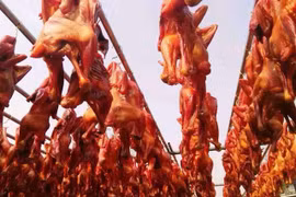 Sự thật đằng sau món gà hong gió nhà giàu đua nhau mua ăn