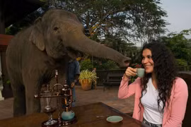 Những ly cà phê đắt đỏ nhất thế giới, giá tiền triệu/ly bé xíu