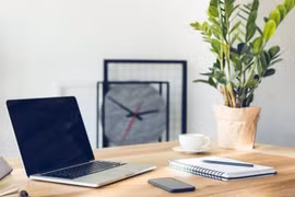 Người giàu thường đặt 5 loại cây này trên bàn, nghe tên đã thấy sung túc