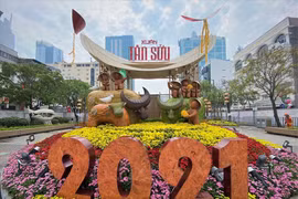 Nova Group tài trợ đường hoa tại TP.HCM, Phan Thiết và Biên Hòa