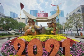 Nova Group tài trợ đường hoa tại TP.HCM, Phan Thiết và Biên Hòa