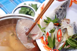 Nhiều loại cá tầm Trung Quốc bán trên thị trường ngoài danh mục được cấp phép?