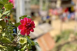 Làm thế nào để 'cai' chứng nghiện mua sắm của vợ?