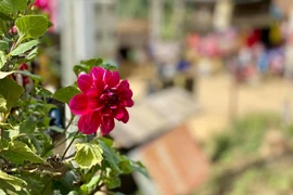 Làm thế nào để 'cai' chứng nghiện mua sắm của vợ?