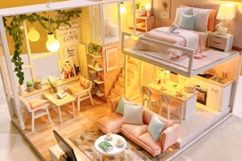 Cô gái trẻ sở hữu đến 6 căn nhà tí hon, khách muốn mua cũng không bán