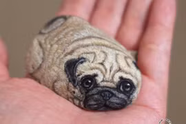 Sự thật choáng váng sau cún cưng nhỏ xíu lọt thỏm trong lòng bàn tay