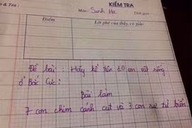 Cô giáo hỏi “10 con vật sống ở Bắc Cực”, học sinh trả lời sốc