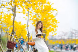 Thiếu nữ hóa nàng thơ trên con đường hoa đẹp tựa trời Âu giữa lòng Hà Nội