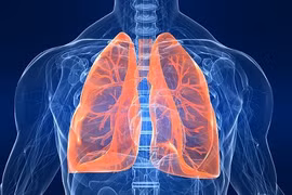 11 điều về hệ hô hấp khiến bạn bất ngờ